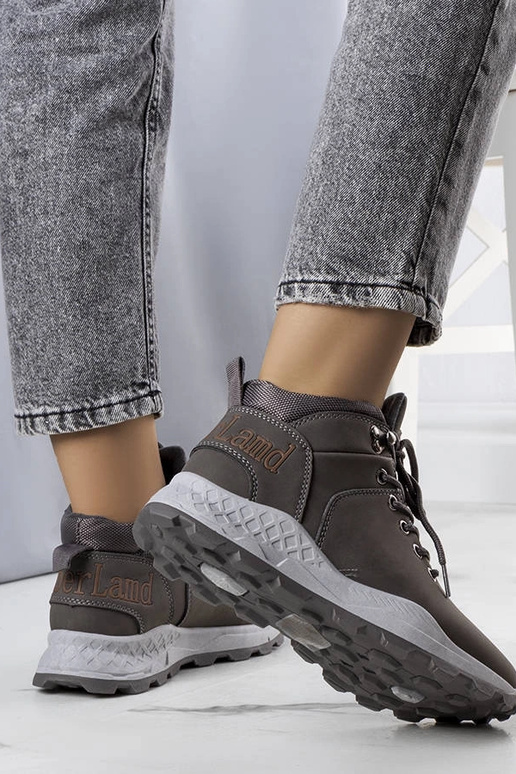 Adleri graue isolierte Damenstiefel