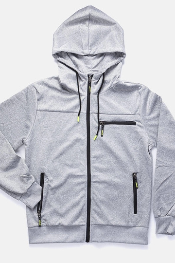 Curtis Herren Kapuzenpullover in Hellgrau
