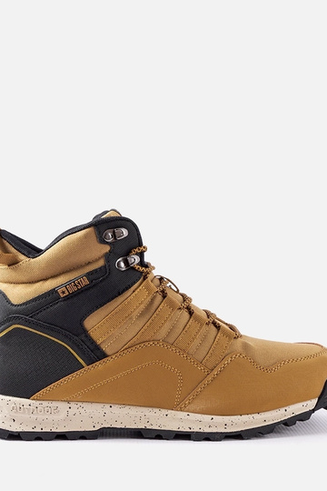 Braune isolierte Big...