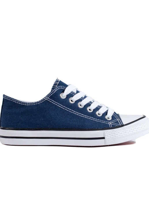 Blaue Schuhe des klassischen Modells