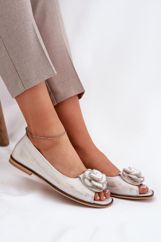 BallerinasOdkrytymi Palcami I Eine Blume Zazoo 1870 goldene Farbe Przecierany